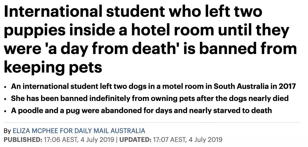 任何理由都不是虐宠的借口！中国女留学生将宠物遗弃在澳洲旅馆内数天，导致宠物差点死亡！ - 8