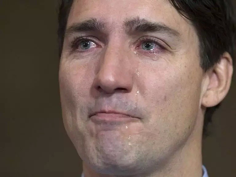 今天！杜鲁多真的是要哭了！加拿大又遇上个“特朗普”！（组图） - 1