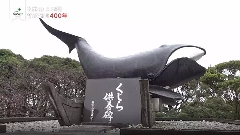 为了培养民族自豪感，日本小学组织集体观看宰杀鲸鱼，写观后感后还要亲自品尝！（组图） - 25