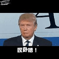 代替梅姨当上英国新首相的居然是个戏精？这年头真是什么人都能当总统了！（组图） - 31