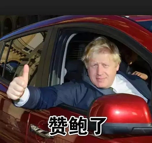 代替梅姨当上英国新首相的居然是个戏精？这年头真是什么人都能当总统了！（组图） - 48