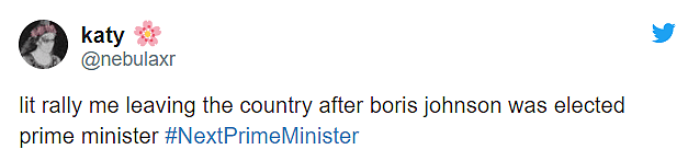 鲍里斯上任英国新首相，这可能是史上最多表情包的英国首相..（组图） - 11