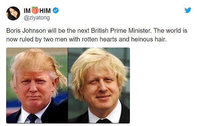 鲍里斯上任英国新首相，这可能是史上最多表情包的英国首相..（组图） - 27