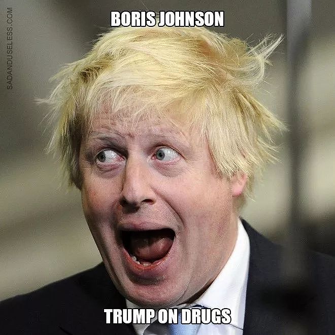 鲍里斯上任英国新首相，这可能是史上最多表情包的英国首相..（组图） - 28