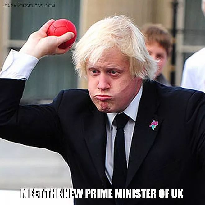 鲍里斯上任英国新首相，这可能是史上最多表情包的英国首相..（组图） - 32