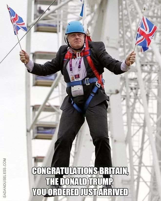 鲍里斯上任英国新首相，这可能是史上最多表情包的英国首相..（组图） - 35