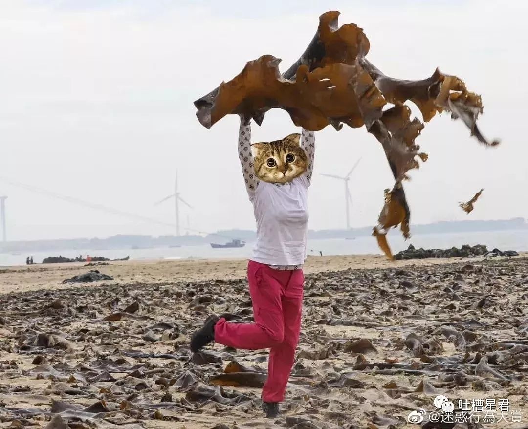 和男朋友去酒店的经历...凌晨12点，尬出冷汗的一幕发生了哈哈哈哈（组图） - 7