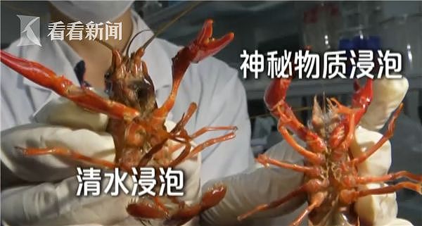 不法商贩竟用洁厕液洗小龙虾 若食用将影响人体免疫系统（视频/组图） - 4