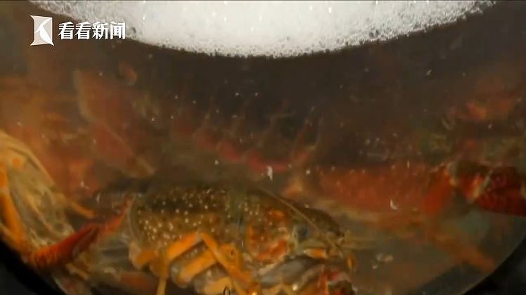 不法商贩竟用洁厕液洗小龙虾 若食用将影响人体免疫系统（视频/组图） - 8