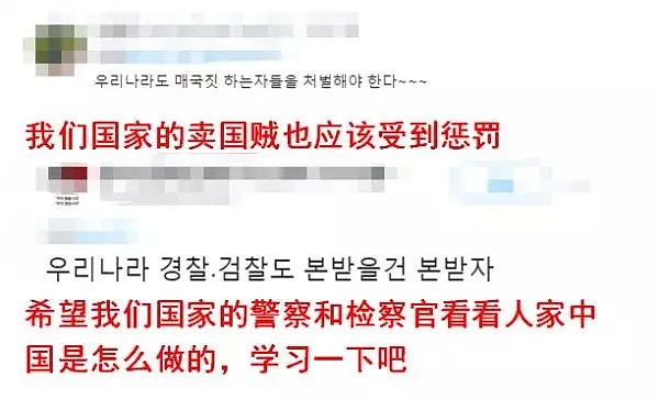 中国警方这次出手 韩国网友钦佩不已：向中国学习（组图） - 4