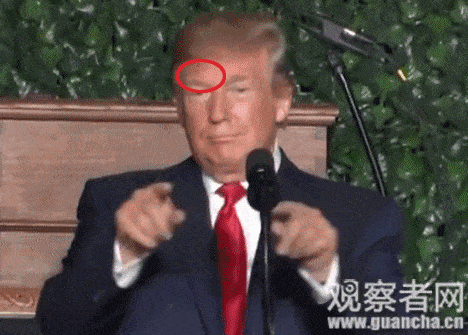 特朗普正演讲，“黄金刘海”被虫子占领（组图） - 5