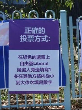 廖婵娥又“中枪”？竞选海报用紫色、写中文被指“误导选民”，被告上法庭（组图） - 5
