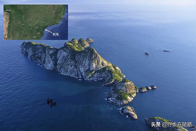 最恐怖岛屿：面积43万平米却有50万条蛇，最贵一条卖20万