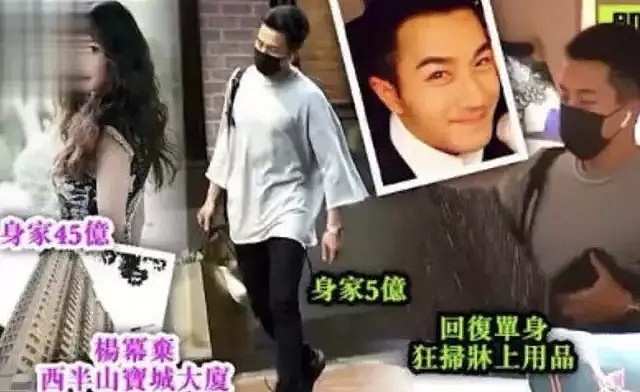 杨幂刘恺威分家引发的震惊：女方身家都TM有45亿了？？？（组图） - 4