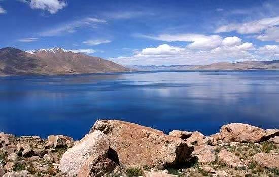 西藏文部湖出没神秘生物，鱼头牛身捕杀牦牛，专家推测为史前生物