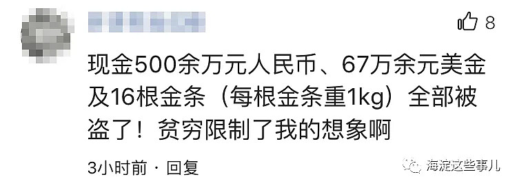 被盗500万+67万美元+16公斤黄金！失主：啥时候偷走的…（组图） - 13