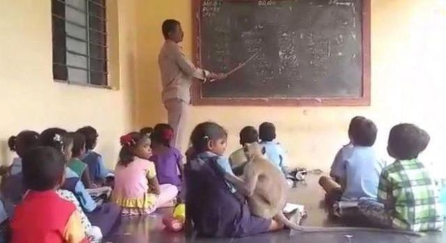 印度母猴和小学生一起上课，认真听讲服从纪律，学生出勤率达100%