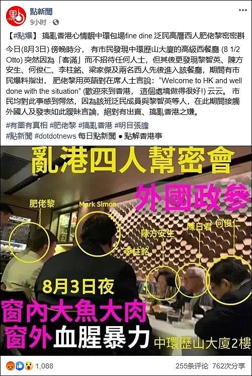 乱港暴徒及其幕后黑手正在彻底暴露，香港迪士尼想扮演何种角色？（组图） - 8