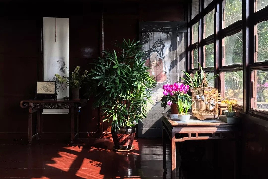 一个苏州男人的中年生活：待在中国最美园子5年，只做风雅之事（视频/组图） - 14