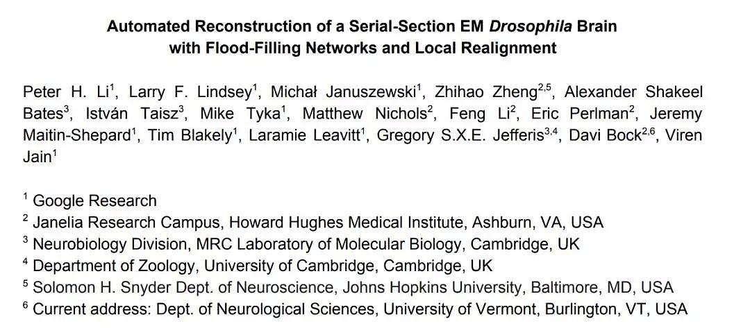 震撼！谷歌自动重建了果蝇完整大脑：40万亿像素图像首度公开！（组图） - 2