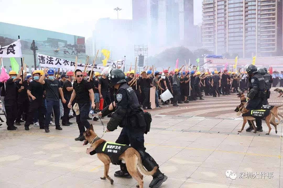 深圳上万警力集结练兵，海陆空都来了，面对袭警暴徒绝不手软（组图） - 33