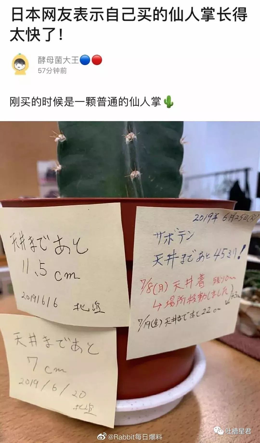 “这是angelababy穿过的鞋那么贵？”男友砍价说道...哈哈哈哈（组图） - 12