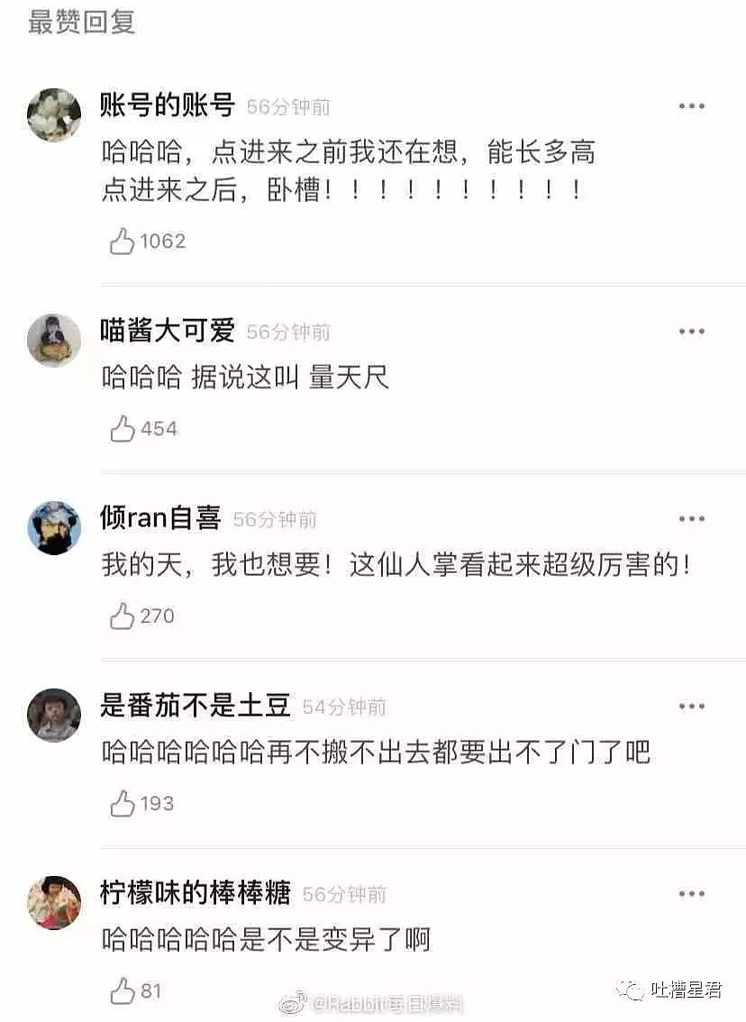 “这是angelababy穿过的鞋那么贵？”男友砍价说道...哈哈哈哈（组图） - 14