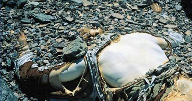 珠峰著名的尸体“绿靴子”，为什么长达20多年都无人搬运？