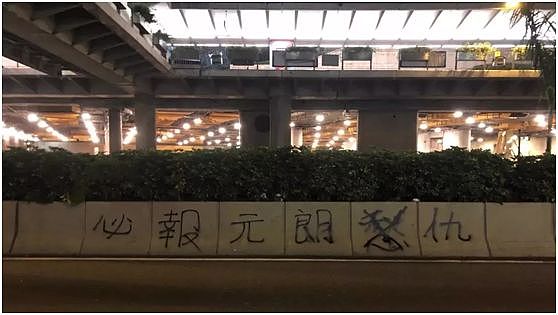 香港420人被捕：错把无知当热血，是最大的愚蠢！（视频/组图） - 14