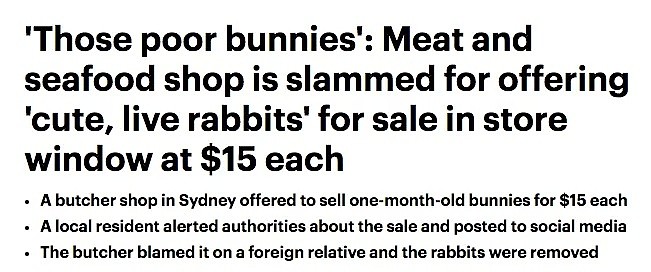怎么可以吃兔兔！悉尼肉店公然出售可爱活兔！惹网友众怒遭调查！ - 1
