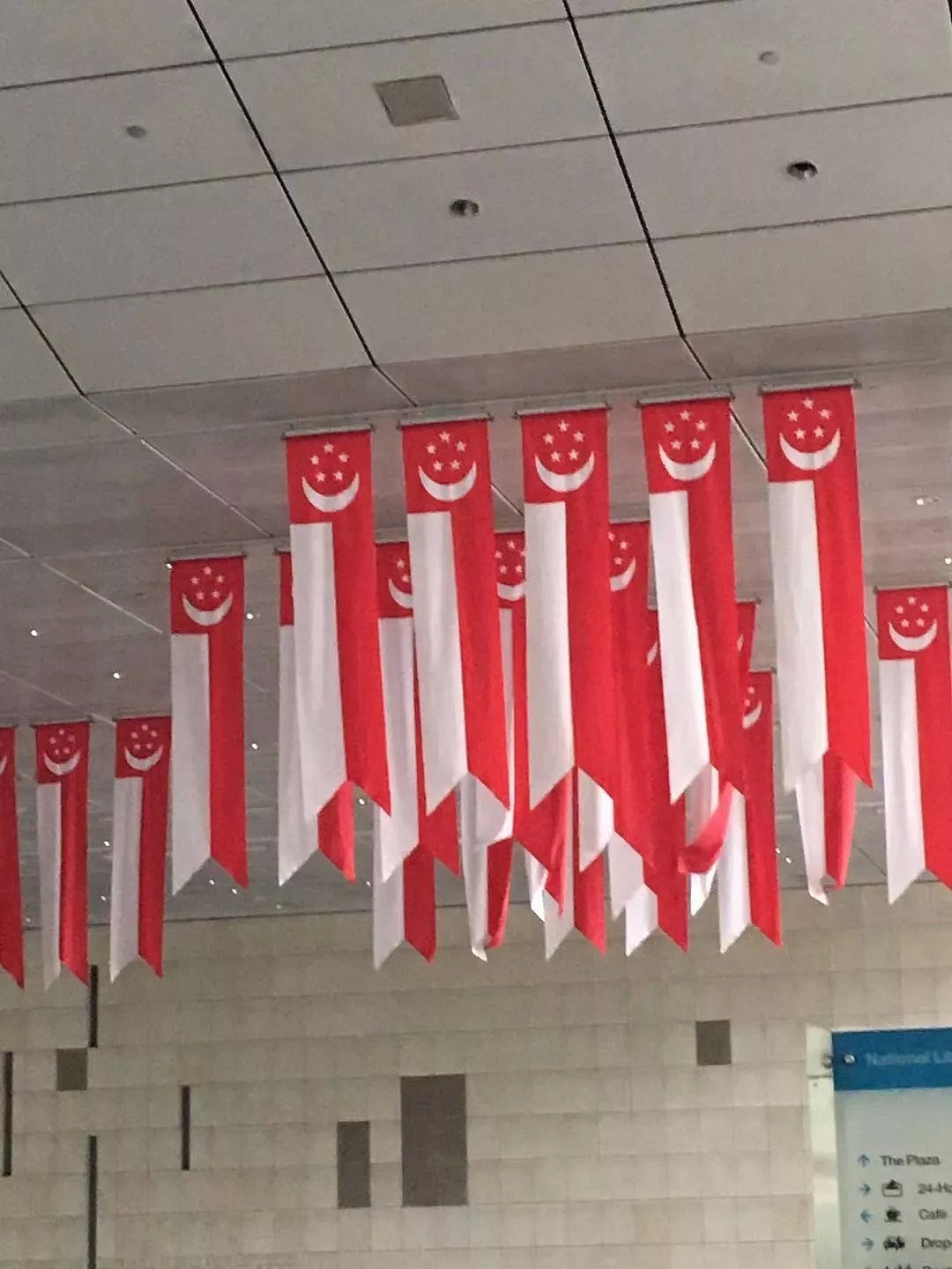 新加坡组屋楼外挂起中国国旗遭网友集体炮轰！这个锅我们不背（组图） - 2