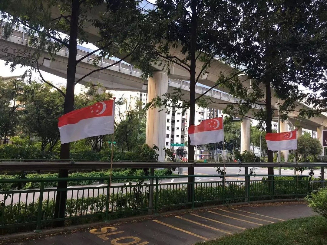 新加坡组屋楼外挂起中国国旗遭网友集体炮轰！这个锅我们不背（组图） - 8