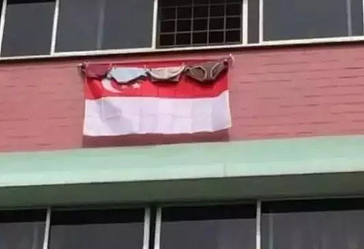 新加坡组屋楼外挂起中国国旗遭网友集体炮轰！这个锅我们不背（组图） - 10