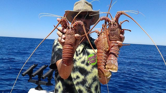 澳媒良心曝光！你以为的澳洲猪肉，根本就不是本地肉！很多人都忽略了一个标志（组图） - 9