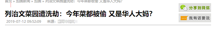 独家！3个白人偷空华人种的苹果 您当这是U-pick呢？（组图） - 3