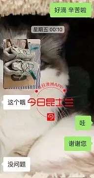 UQ中国留学生遇本土华人骗子，6000元限量球鞋打水漂！“我就当我这双鞋喂了狗！” - 4