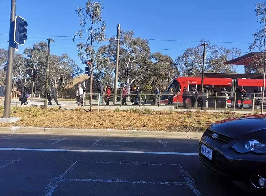 突发 | Northbourne Avenue电车撞人停运，伤者严重急送医！轻轨事故频发，到底谁该负责？ - 5