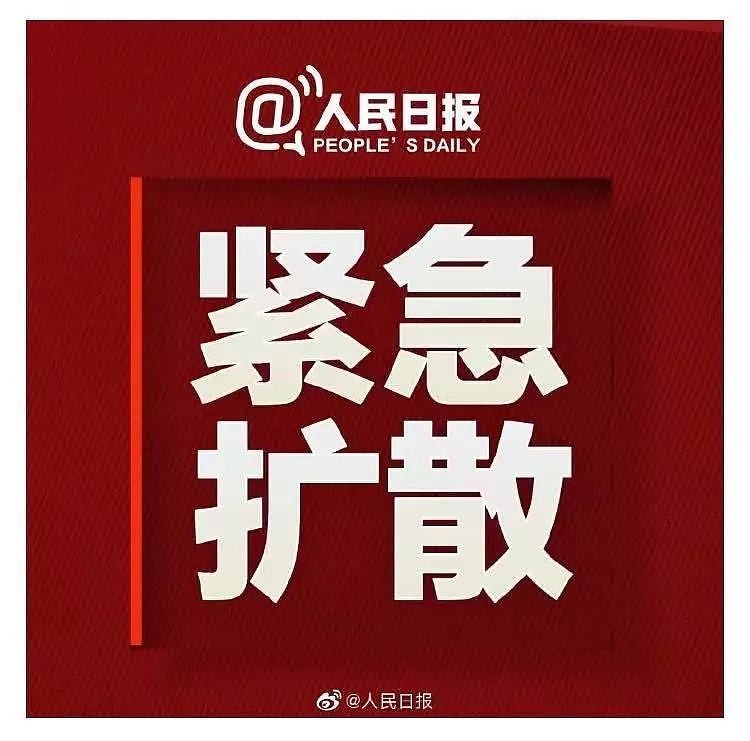 戏精又来了！一大明星爬电线杆拍视频，躲洪水，被嘲上热搜（组图） - 5