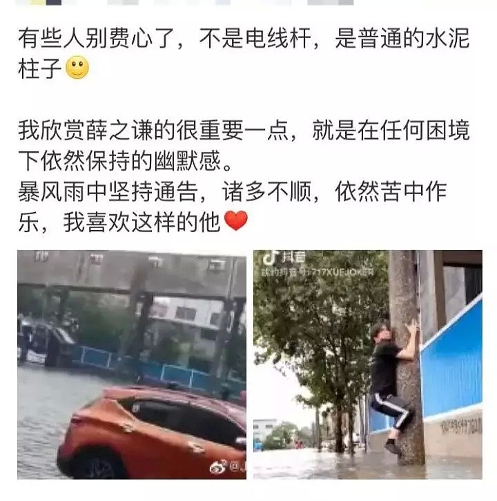 戏精又来了！一大明星爬电线杆拍视频，躲洪水，被嘲上热搜（组图） - 13