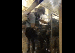 环球网记者付国豪香港机场遭围殴，有人举美国旗追打（视频/组图） - 6