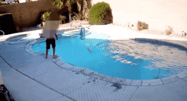 9岁小孩毫无人性！把狗扔进游泳池 按头不让它呼吸（组图） - 6