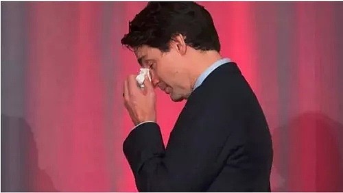 重磅！特鲁多发表声明承认干扰司法，成加拿大首位违法犯罪的总理！连任无望或提前下台？（组图） - 17