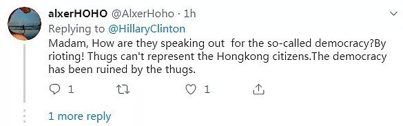 希拉里突然跳出来公然支持香港骚乱 网友一语回击（组图） - 6