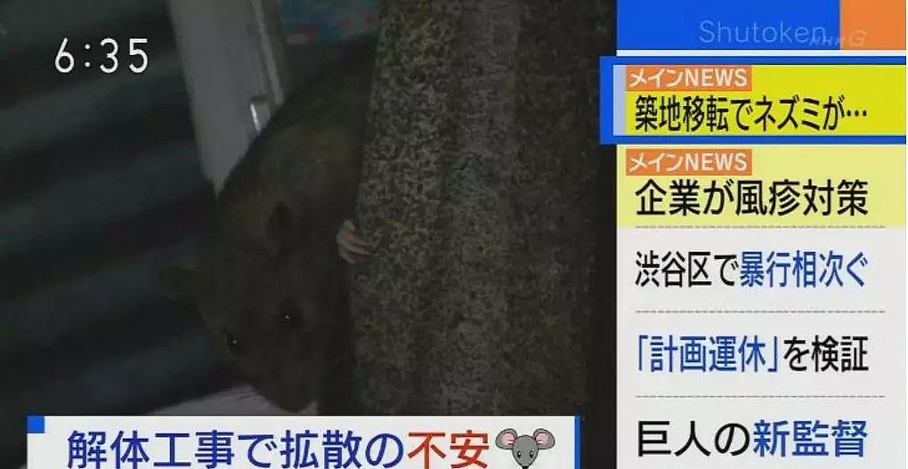 涩谷便利店惊现老鼠窝，花火大会垃圾遍地，日本如今的卫生真的没救了吗？（组图） - 6