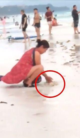 游客在巴厘岛埋弃孩子纸尿裤，百米沙滩被迫关闭