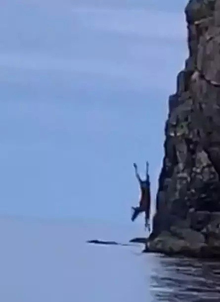 视频疯传！加拿大驼鹿想不开 跳崖坠海 结果下一秒...（组图） - 2
