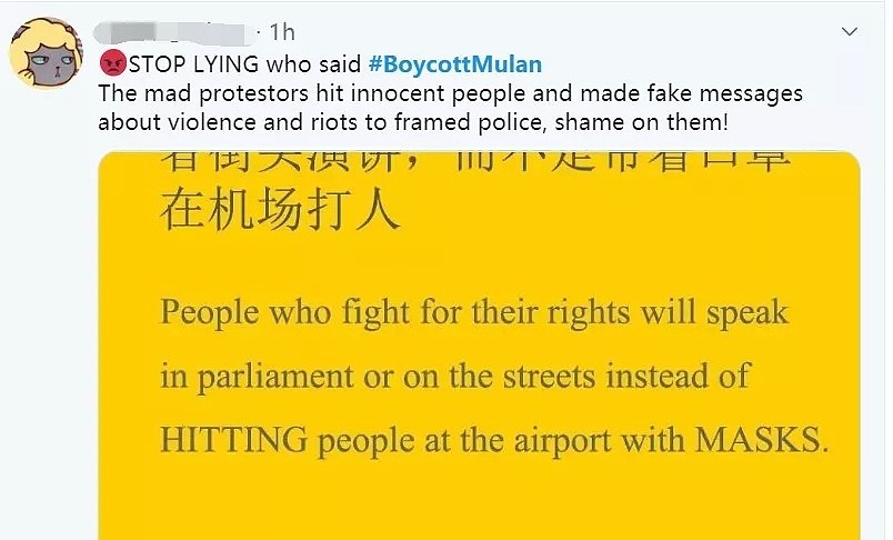 因支持香港警察，刘亦菲《花木兰》被外网极端分子抵制（组图） - 27