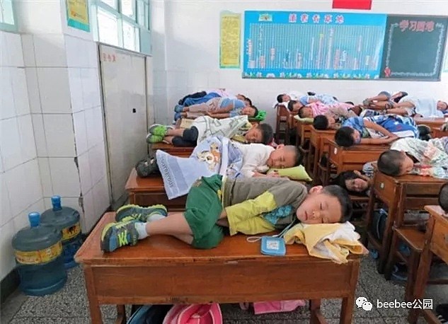 只有中国人敢在任何地方睡午觉！看了这些照片老外震惊了！（组图） - 14