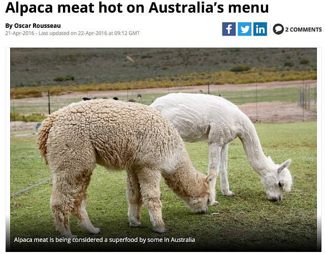 都说中国人口味重？那是你没吃过澳洲奇葩食物，真是开眼了！（组图） - 45