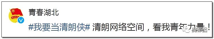 激动流泪！共青团中央发声！帝吧前辈身中暗算奋勇让红旗飘扬！（组图） - 57